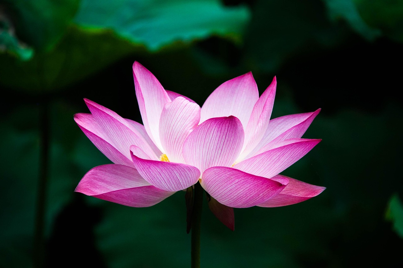 お問い合わせ・ご相談はこちら